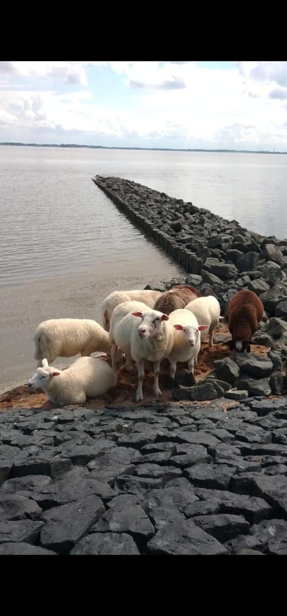 Am Alten Siel Wilhelmshaven Exteriér fotografie